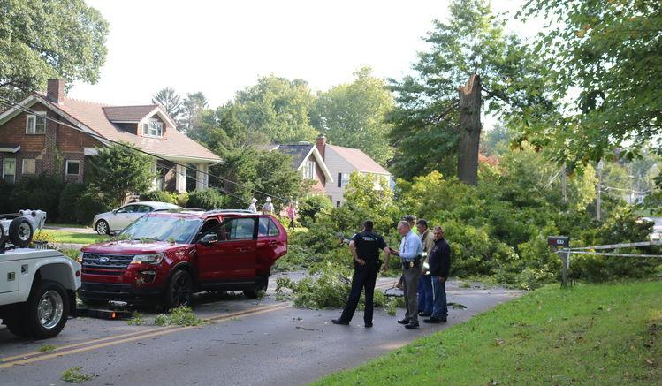 Branch falls on SUV; 2 injured